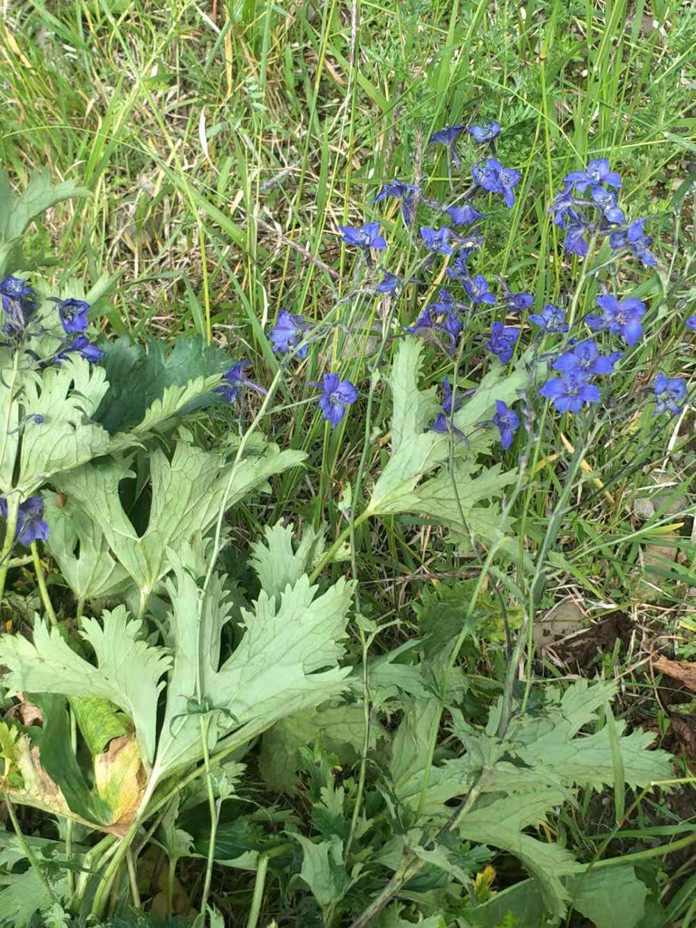 1548034724238544.jpg 微信圖片_20181105104222.jpg