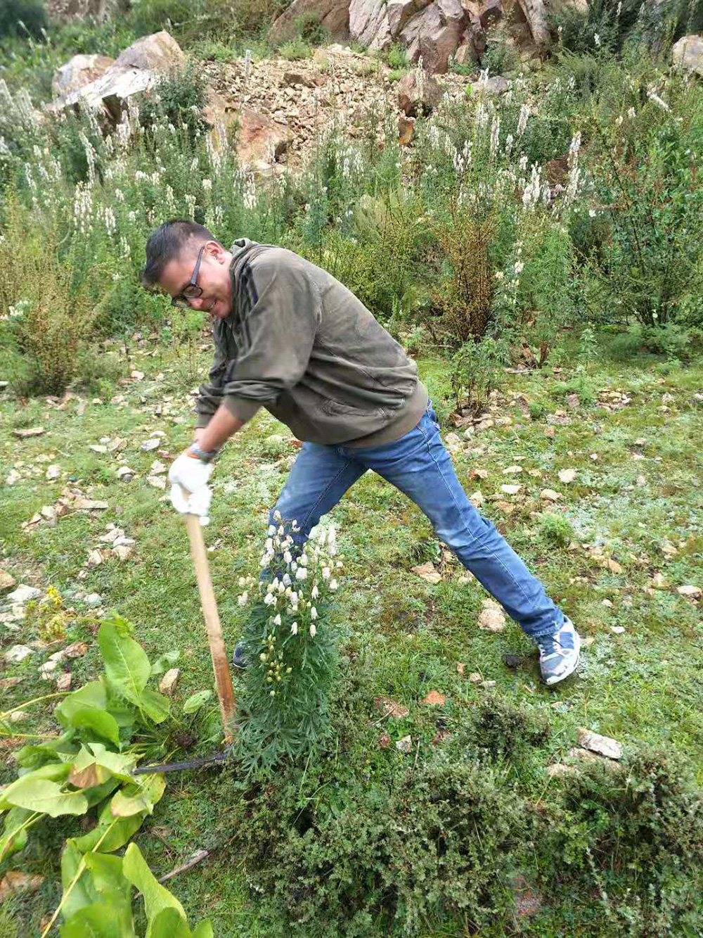 1548034794363494.jpg 微信圖片_20181105104059.jpg