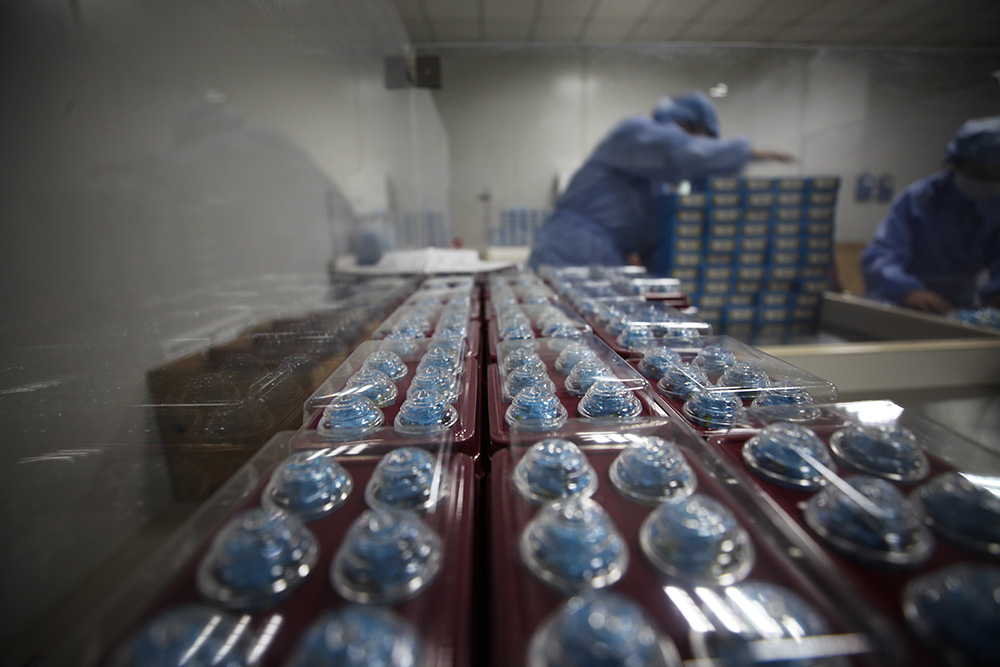 1548036201853015.jpg IMG_8288.jpg