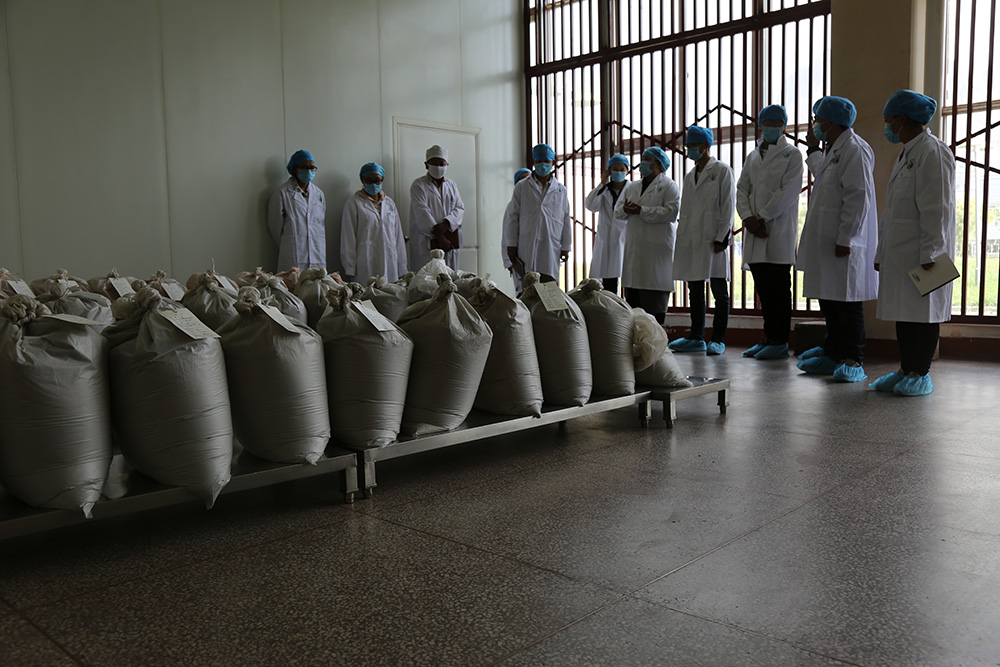 1548038534367944.jpg 0H2A1296.jpg