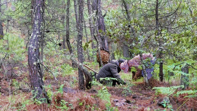 1766567508621342.gif 640 (4).gif