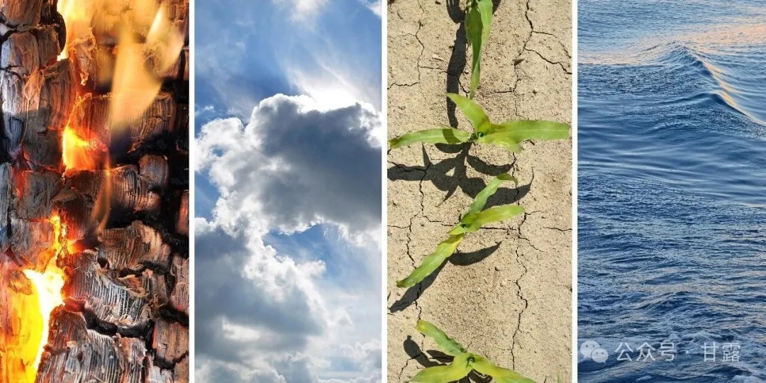 1767511095588265.jpg 640 (1).jpg