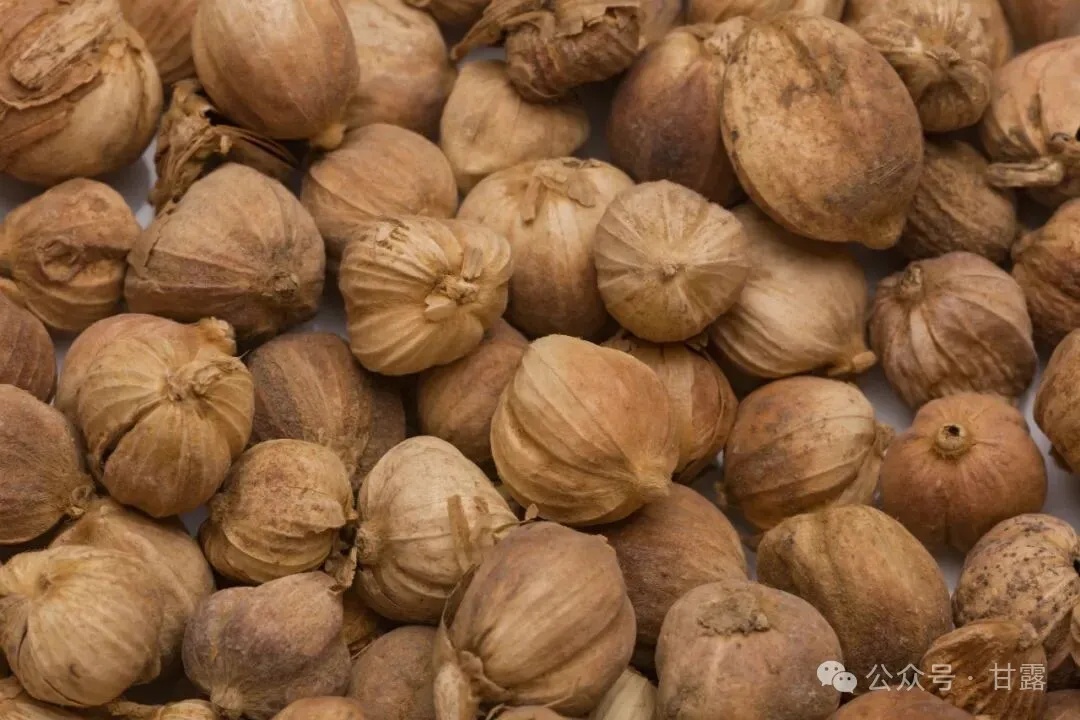 1767664306647091.jpg 640 (2).jpg